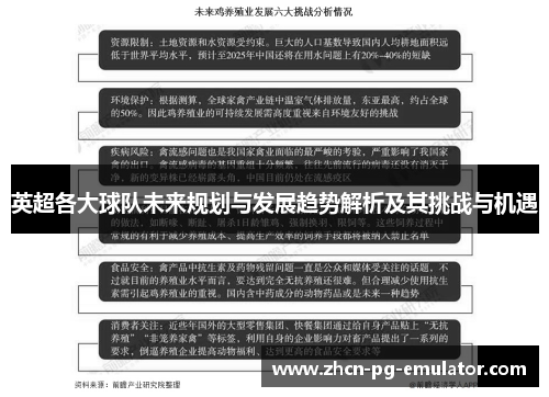 英超各大球队未来规划与发展趋势解析及其挑战与机遇