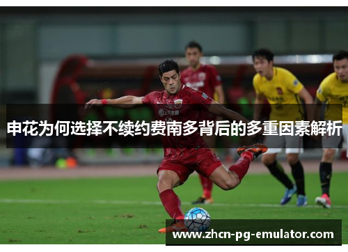 申花为何选择不续约费南多背后的多重因素解析