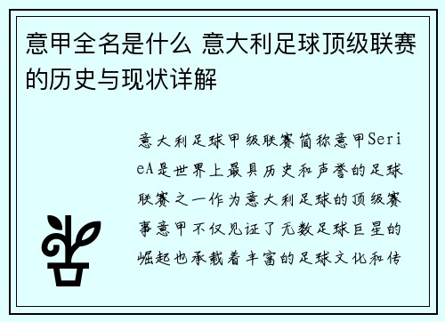 意甲全名是什么 意大利足球顶级联赛的历史与现状详解