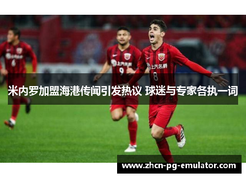 米内罗加盟海港传闻引发热议 球迷与专家各执一词