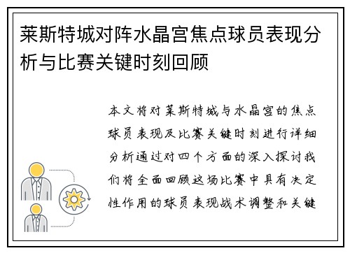 莱斯特城对阵水晶宫焦点球员表现分析与比赛关键时刻回顾