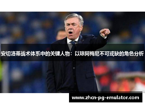 安切洛蒂战术体系中的关键人物：以琼阿梅尼不可或缺的角色分析