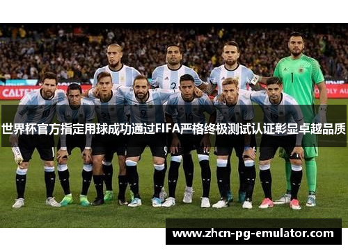 世界杯官方指定用球成功通过FIFA严格终极测试认证彰显卓越品质